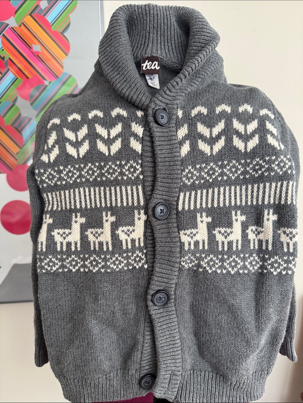 Tea Collection Boy's Gray Shawl Collar Alpaca-Pattern Cardigan Sweater